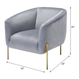 Carlson Gray Velvet & Gold Accent Chair - Ornate Home