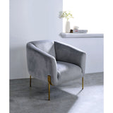 Carlson Gray Velvet & Gold Accent Chair - Ornate Home