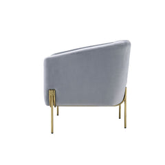 Carlson Gray Velvet & Gold Accent Chair - Ornate Home