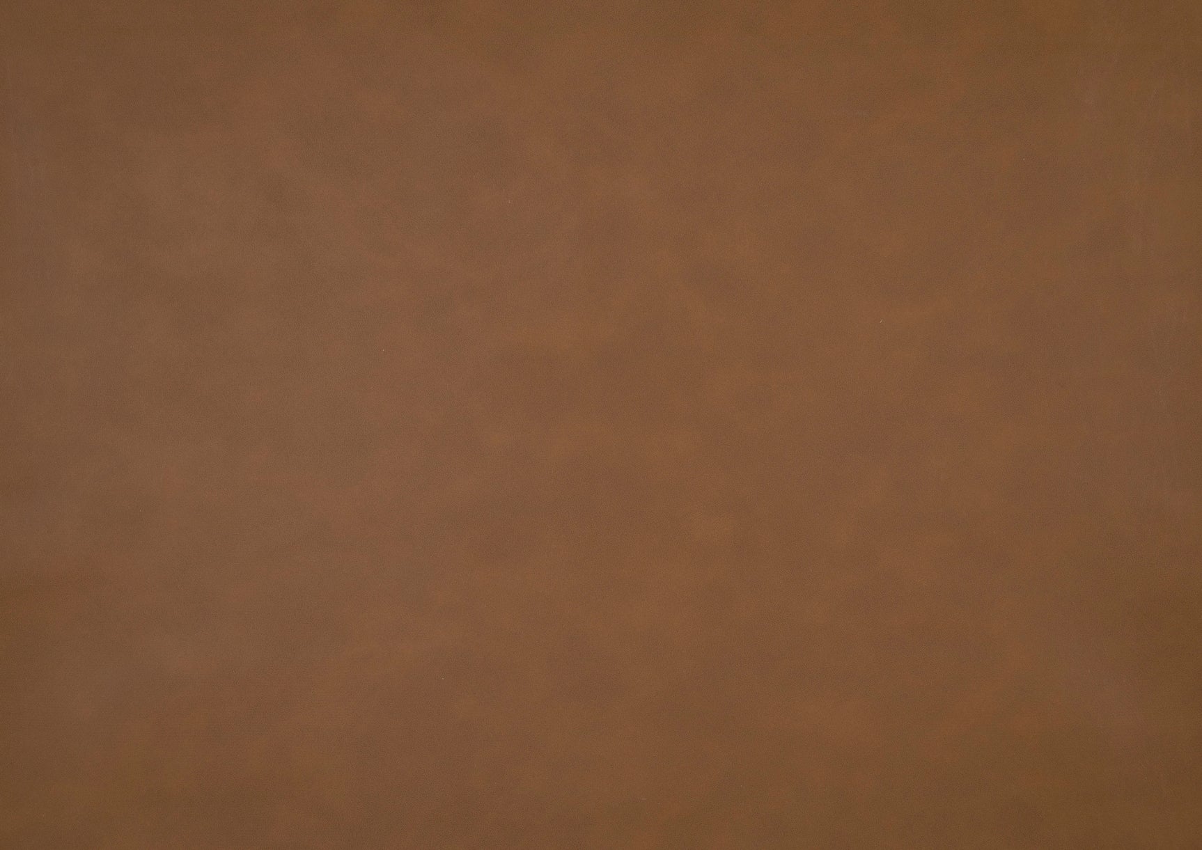 Carlton Camel Faux Leather Futon Sofa - Ornate Home