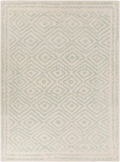 Carnegie Area Rug - Clearance - Ornate Home