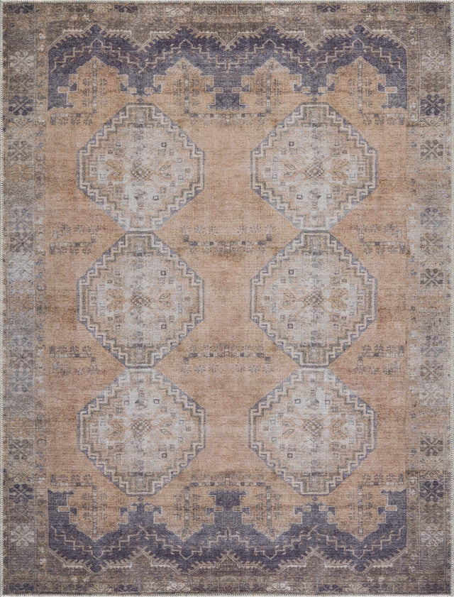 Carrabelle Peach Washable Area Rug - Clearance - Ornate Home