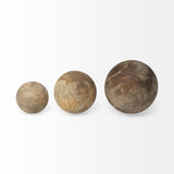 Carrick Natural Wood Decorative Spheres (Set of 3) - Ornate Home