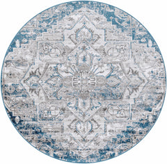 Carrington Area Rug - Clearance - Ornate Home