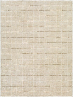 Cascade Checkered Beige Area Rug - Ornate Home
