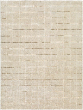 Cascade Checkered Beige Area Rug - Ornate Home