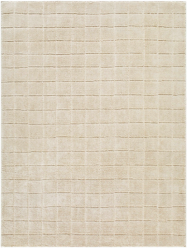 Cascade Checkered Beige Area Rug - Ornate Home