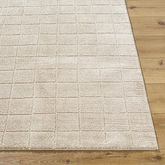 Cascade Checkered Beige Area Rug - Ornate Home