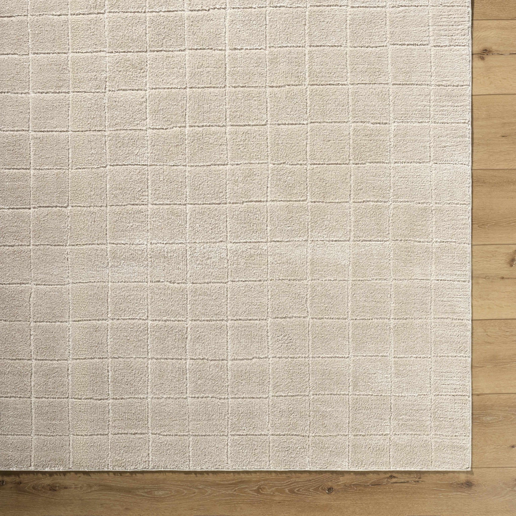Cascade Checkered Beige Area Rug - Ornate Home