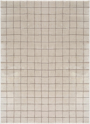 Cascade Checkered Ivory Area Rug - Ornate Home