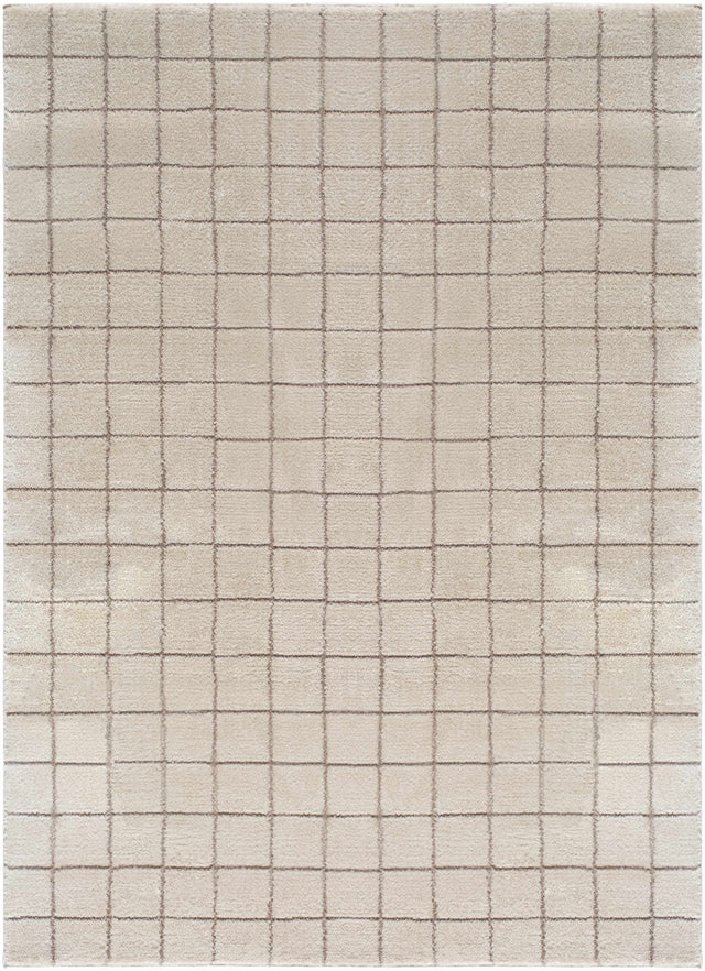 Cascade Checkered Ivory Area Rug - Ornate Home