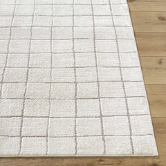 Cascade Checkered Ivory Area Rug - Ornate Home