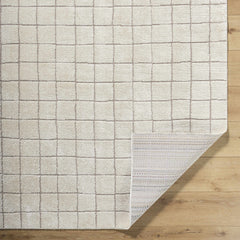 Cascade Checkered Ivory Area Rug - Ornate Home