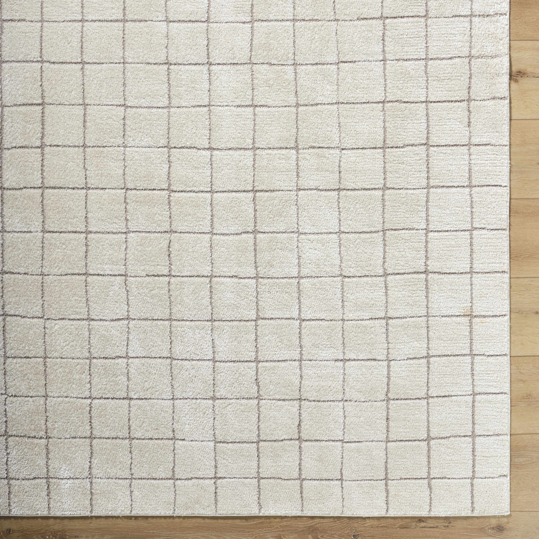 Cascade Checkered Ivory Area Rug - Ornate Home