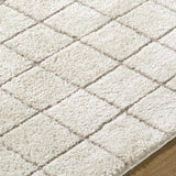 Cascade Checkered Ivory Area Rug - Ornate Home