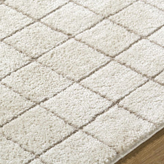 Cascade Checkered Ivory Area Rug - Ornate Home