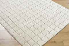 Cascade Checkered Ivory Area Rug - Ornate Home