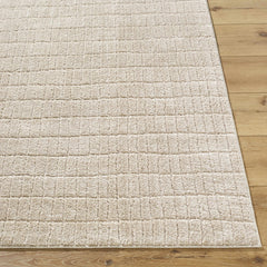 Cascade Dark Beige Area Rug - Ornate Home
