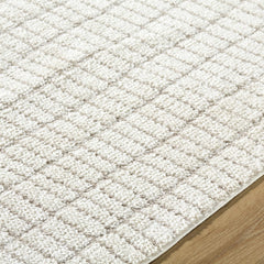 Cascade White Area Rug - Ornate Home