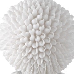 Cascara White Sculpture - Ornate Home
