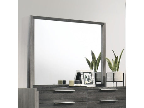 Casimiro Gray Mirror - Ornate Home