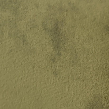 Caspian-Town Olive 2-Piece RAF Sectional with Chaise - Ornate Home