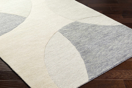Cassiopeia Gray & Beige Area Rug - Ornate Home