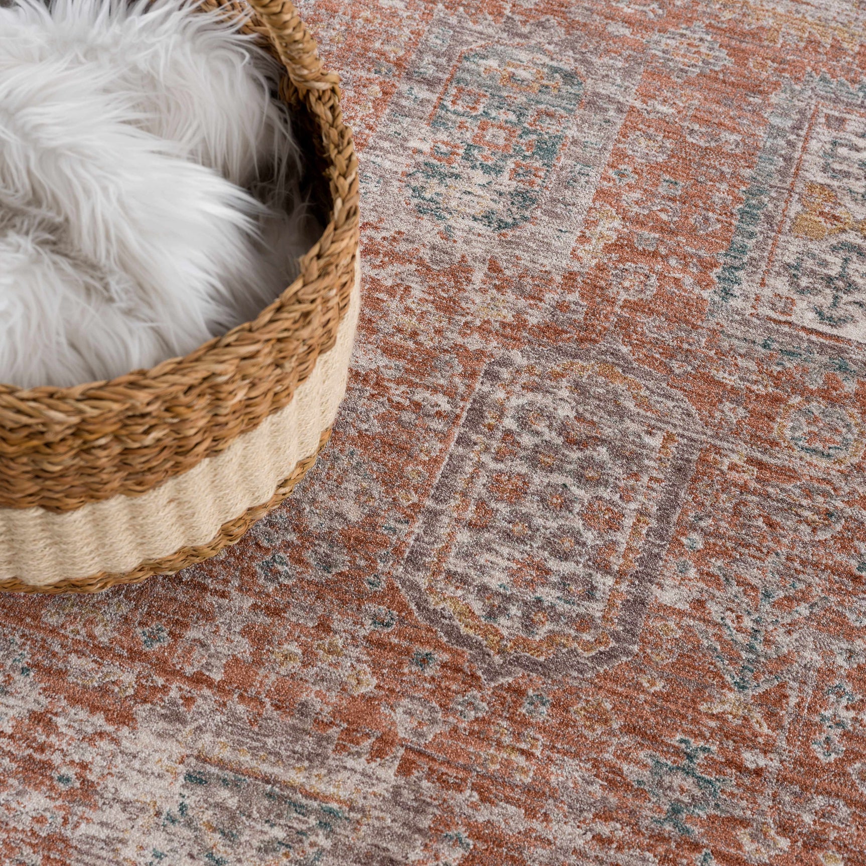 Casta Area Rug - Clearance - Ornate Home