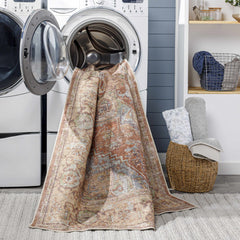 Casterton Washable Area Rug - Clearance - Ornate Home