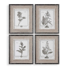 Casual Grey Study Multicolor Framed Art (Set of 4) - Ornate Home