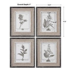 Casual Grey Study Multicolor Framed Art (Set of 4) - Ornate Home