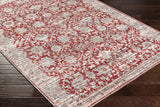 Cathy Area Rug - Clearance - Ornate Home