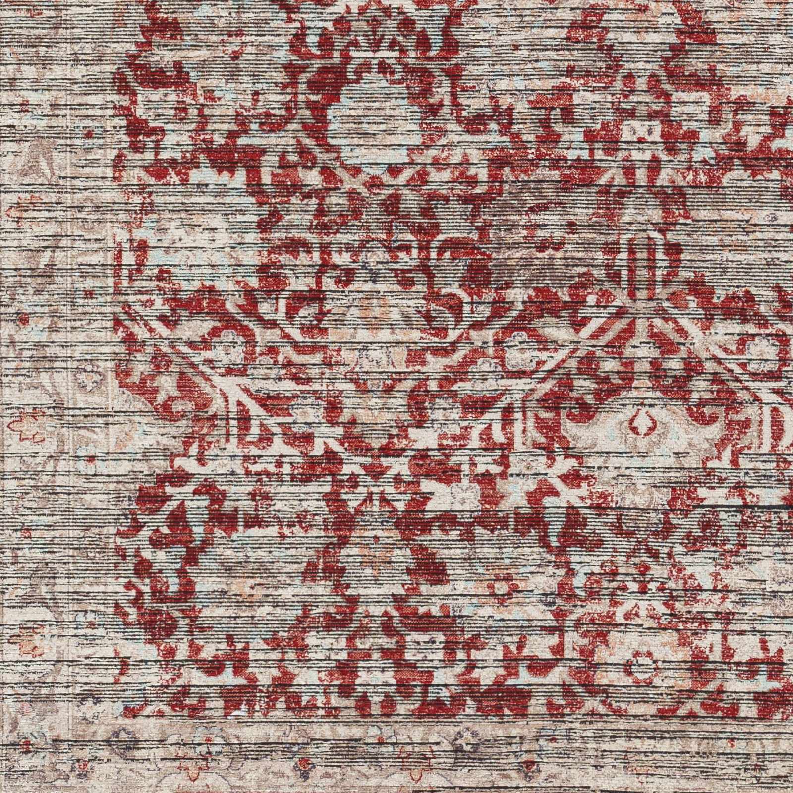 Cathy Area Rug - Clearance - Ornate Home