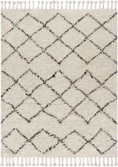 Catoosa White/Black Trellis Wool Rug - Clearance - Ornate Home