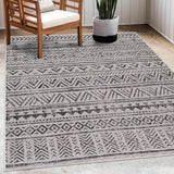 Catrine Indoor & Outdoor Rug - Clearance - Ornate Home