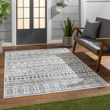 Catrine Indoor & Outdoor Rug - Clearance - Ornate Home
