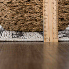 Catrine Indoor & Outdoor Rug - Clearance - Ornate Home