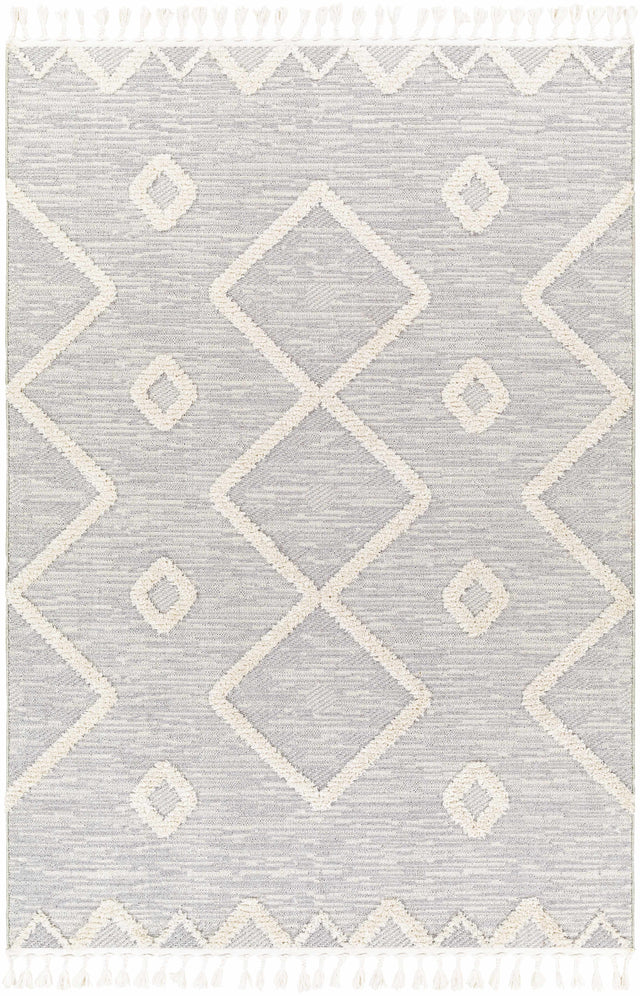 Cauldwell High/Low Pile Rug with Tassels - Clearance - Ornate Home