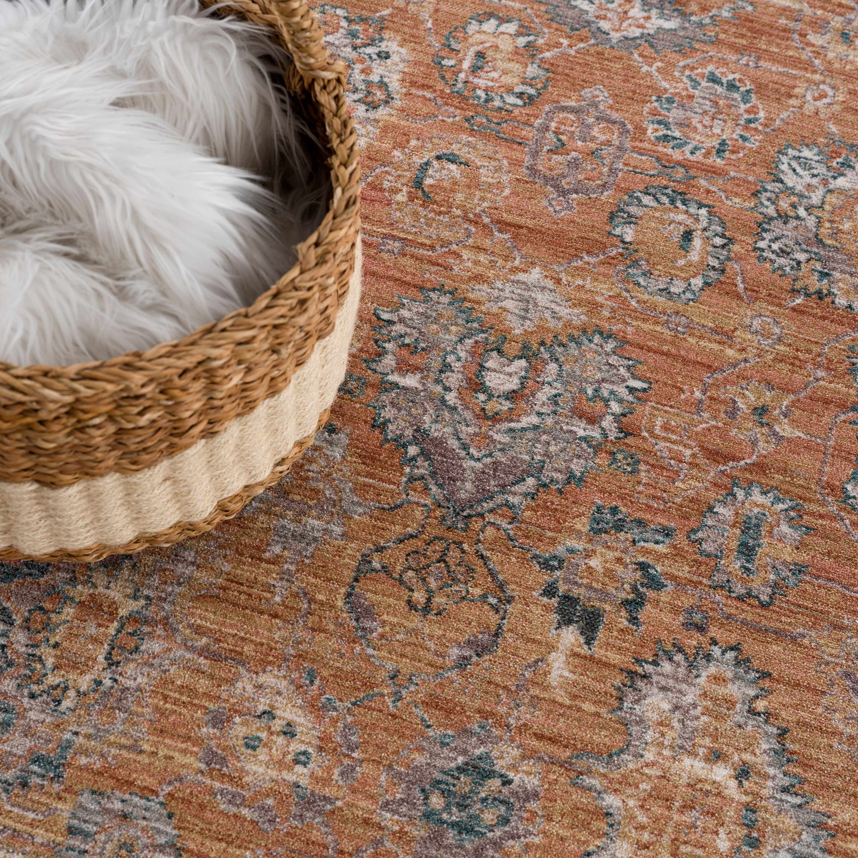 Cayla Area Rug - Clearance - Ornate Home