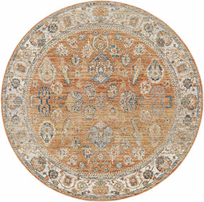 Cayla Area Rug - Clearance - Ornate Home
