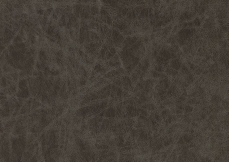 Cazon Brown Sofa - Ornate Home