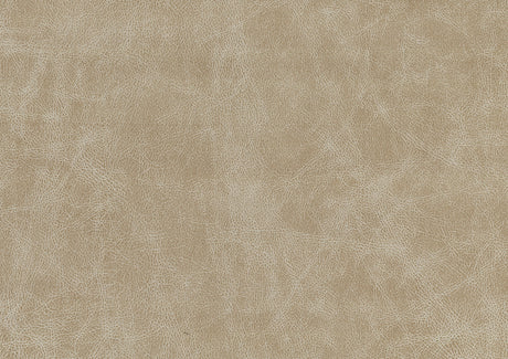 Cazon Sand Sofa - Ornate Home