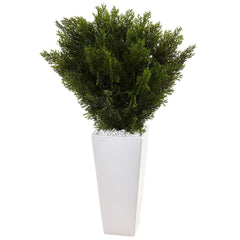 Cedar in White Tower Planter - Ornate Home