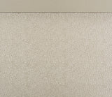 Celandine Silver Chest - Ornate Home