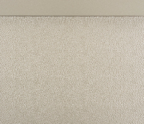 Celandine Silver Chest - Ornate Home