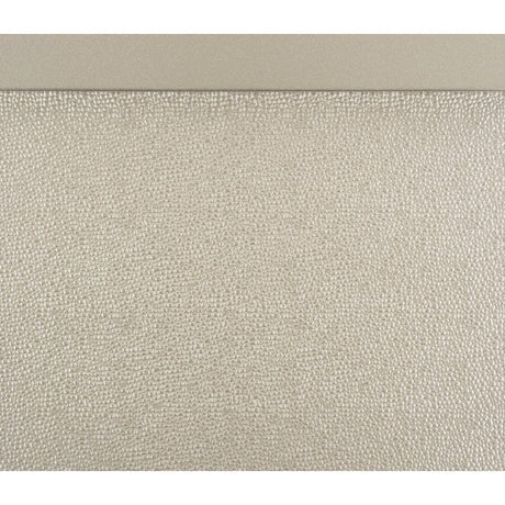 Celandine Silver Chest - Ornate Home