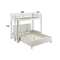 Celerina Twin Loft Bed - Ornate Home