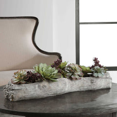 Charita Green Lush Succulents - Ornate Home