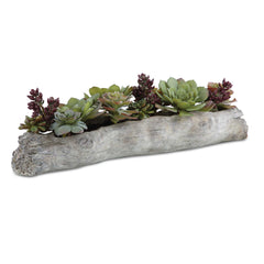 Charita Green Lush Succulents - Ornate Home