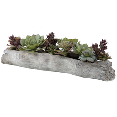 Charita Green Lush Succulents - Ornate Home
